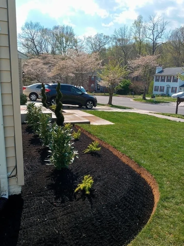 Reliable yard cleanup service in Berryville, VA by Rivas Landscaping