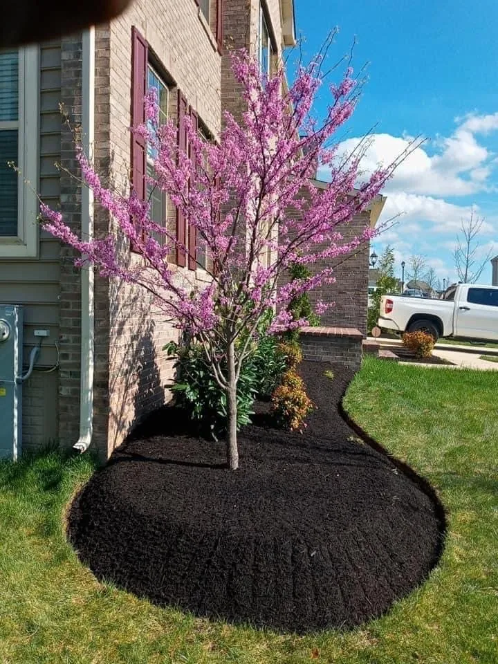 Custom landscape installation for year-round maintenance across Berryville, VA - Rivas Landscaping