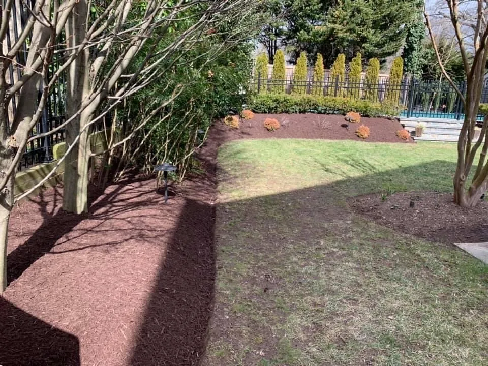 Top-rated landscape installation for beautiful yards across Berryville, VA - Rivas Landscaping