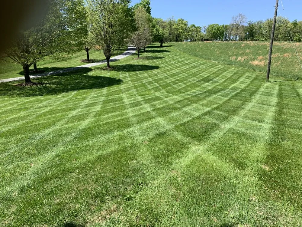 Local landscape installation for beautiful yards in Berryville, VA by Rivas Landscaping