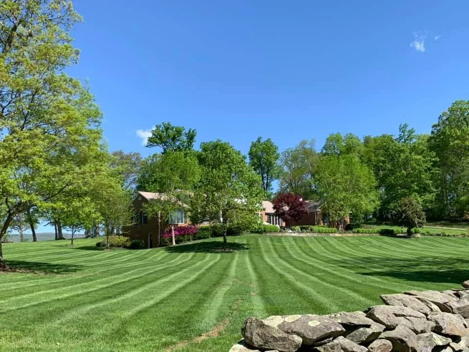 Reliable lawn mowing service near you across Berryville, VA - Rivas Landscaping