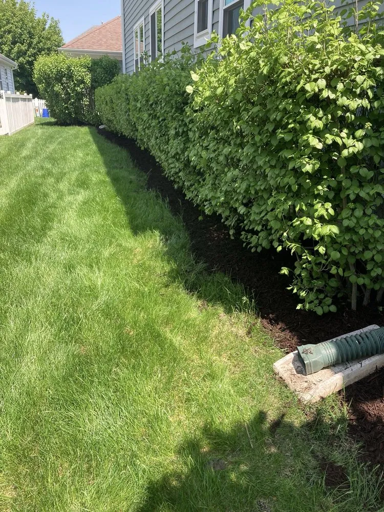 Expert yard cleanup service in Prospect Heights, IL by Rivas Landscaping