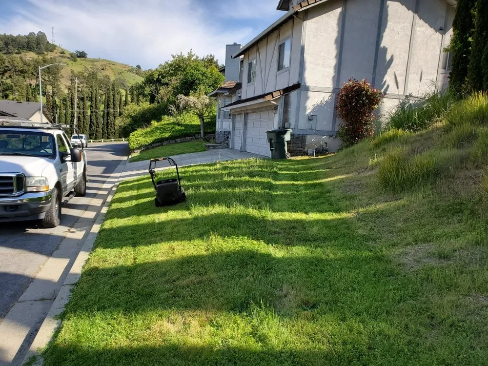 Professional landscape installation in San Leandro, CA - Rivas Landscaping