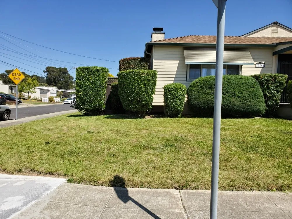 Top-rated lawn mowing service in San Leandro, CA - Rivas Landscaping