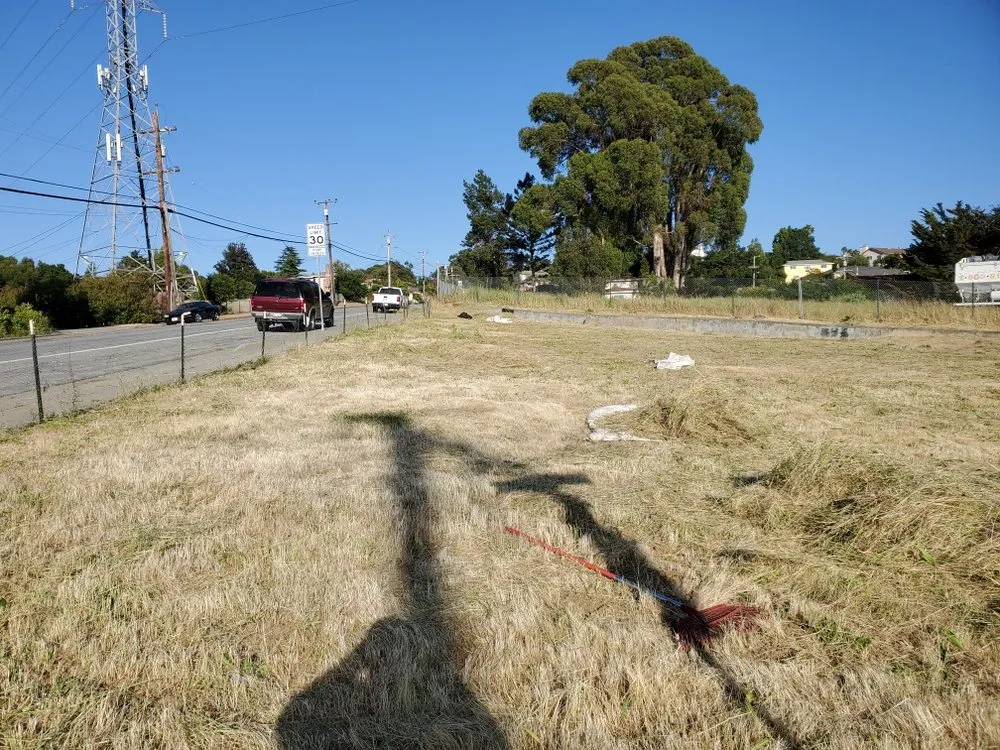 Custom yard maintenance in San Leandro, CA - Rivas Landscaping