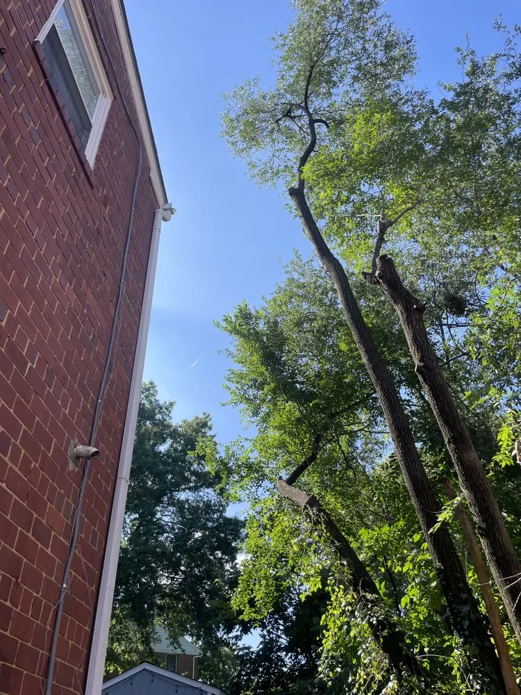 Trusted residential landscaping in Clinton, MD - Rivas Landscaping Services