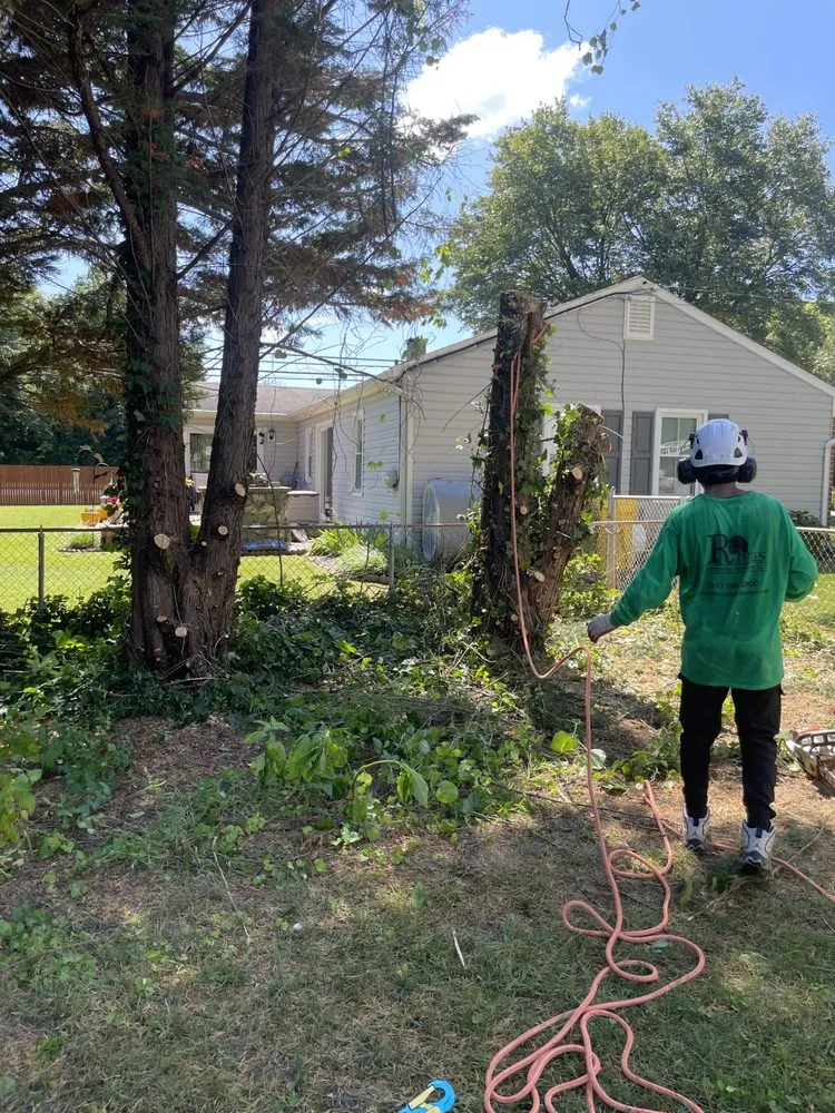 Reliable landscaping services for residential properties across Clinton, MD - Rivas Landscaping Services