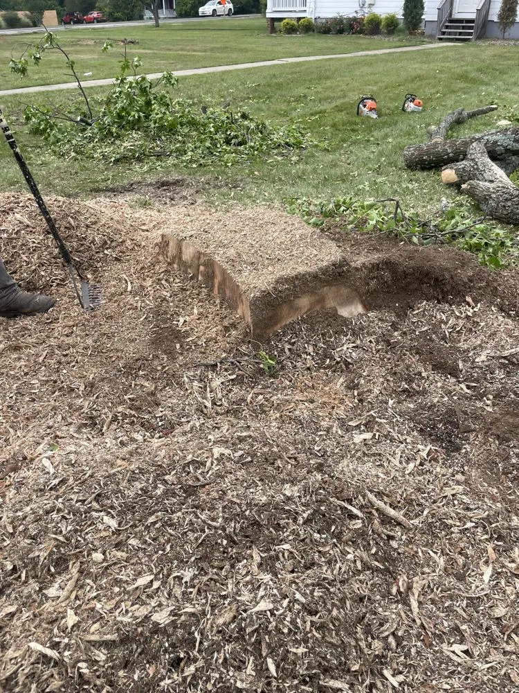 Top-rated yard cleanup service in Clinton, MD by Rivas Landscaping Services