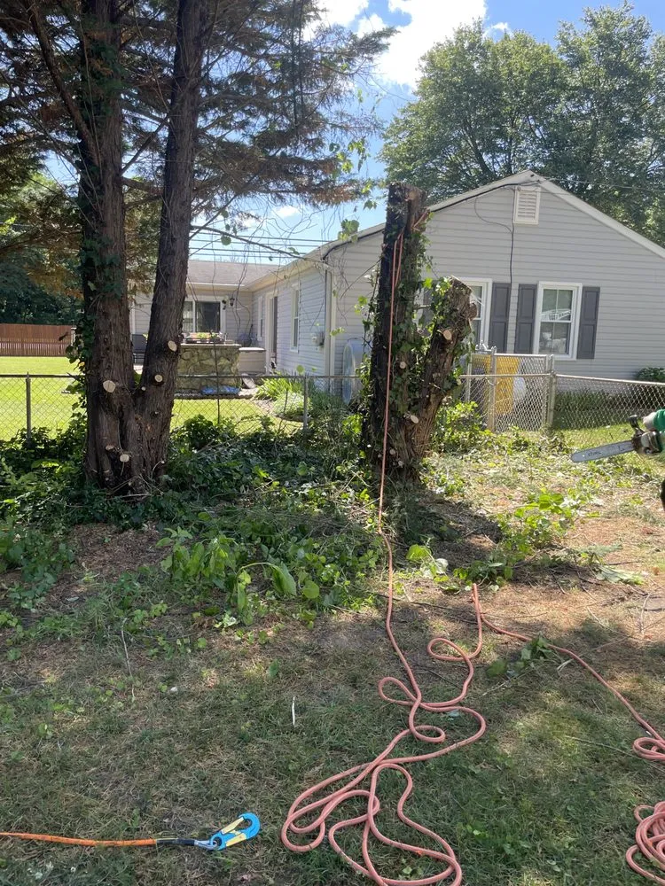 Professional garden landscaping for homes in Clinton, MD by Rivas Landscaping Services