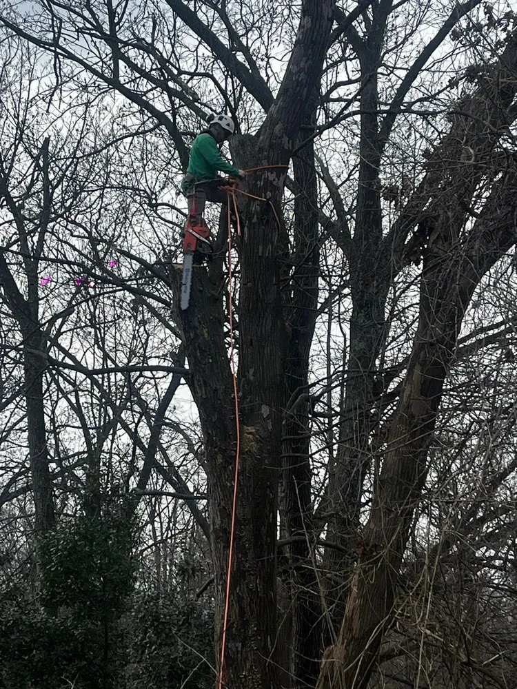 Professional garden landscaping in Clinton, MD - Rivas Landscaping Services