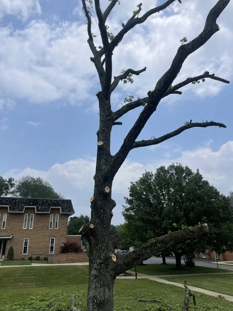 Affordable landscape installation in Clinton, MD - Rivas Landscaping Services