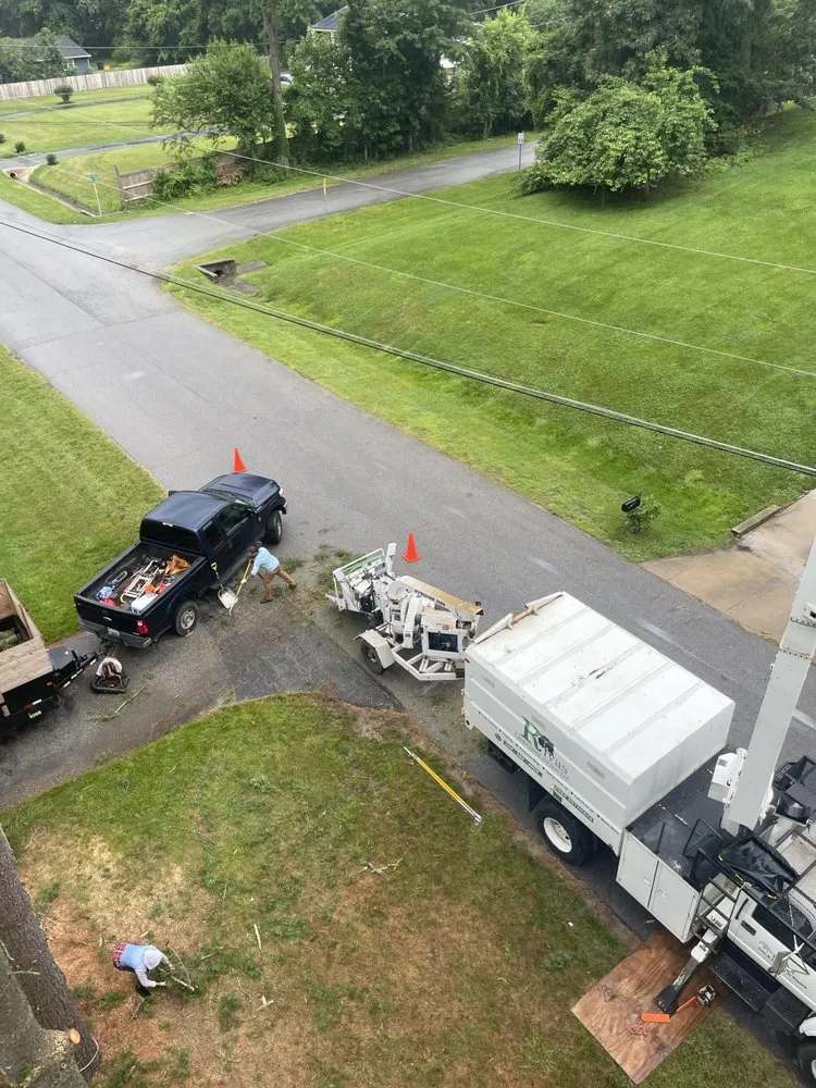 Top-rated yard cleanup service in Clinton, MD - Rivas Landscaping Services