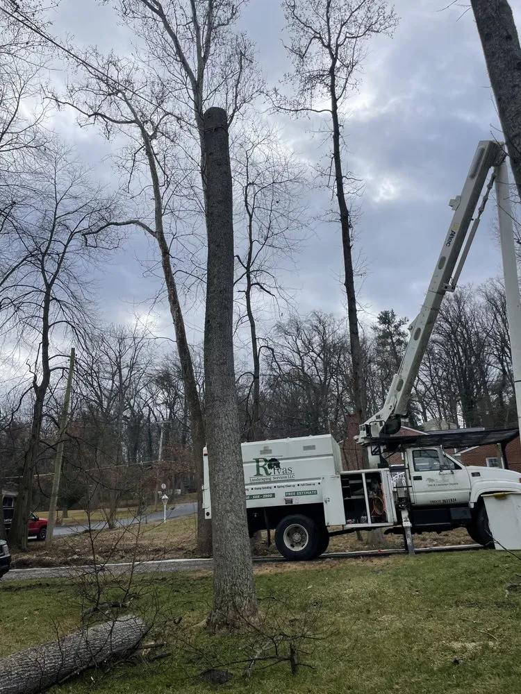 Top-rated outdoor landscaping in Clinton, MD - Rivas Landscaping Services