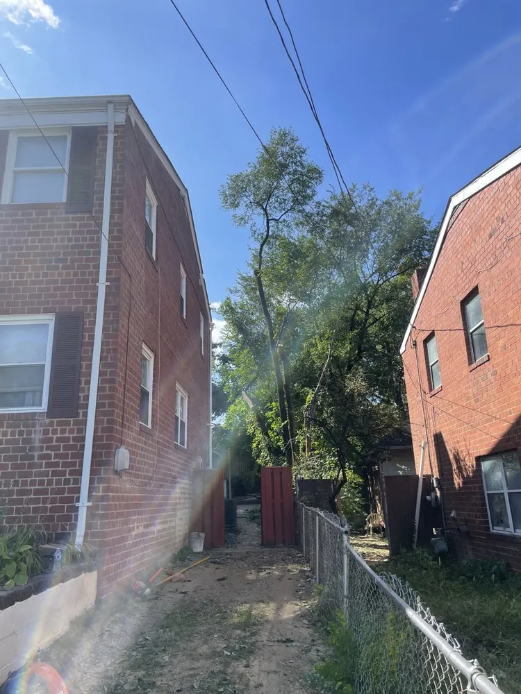 Top-rated landscape design for year-round maintenance across Clinton, MD - Rivas Landscaping Services