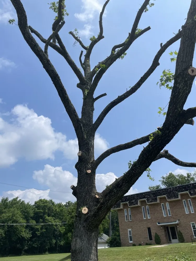 Reliable outdoor landscaping experts serving Clinton, MD - Rivas Landscaping Services