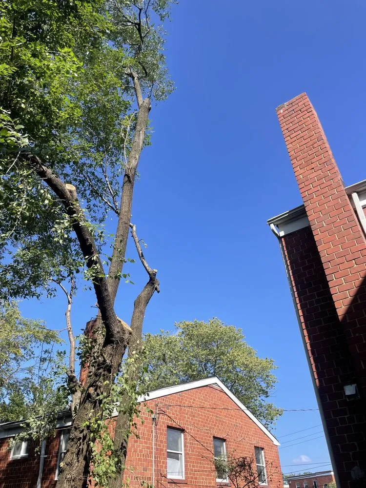 Affordable garden landscaping for homes in Clinton, MD by Rivas Landscaping Services