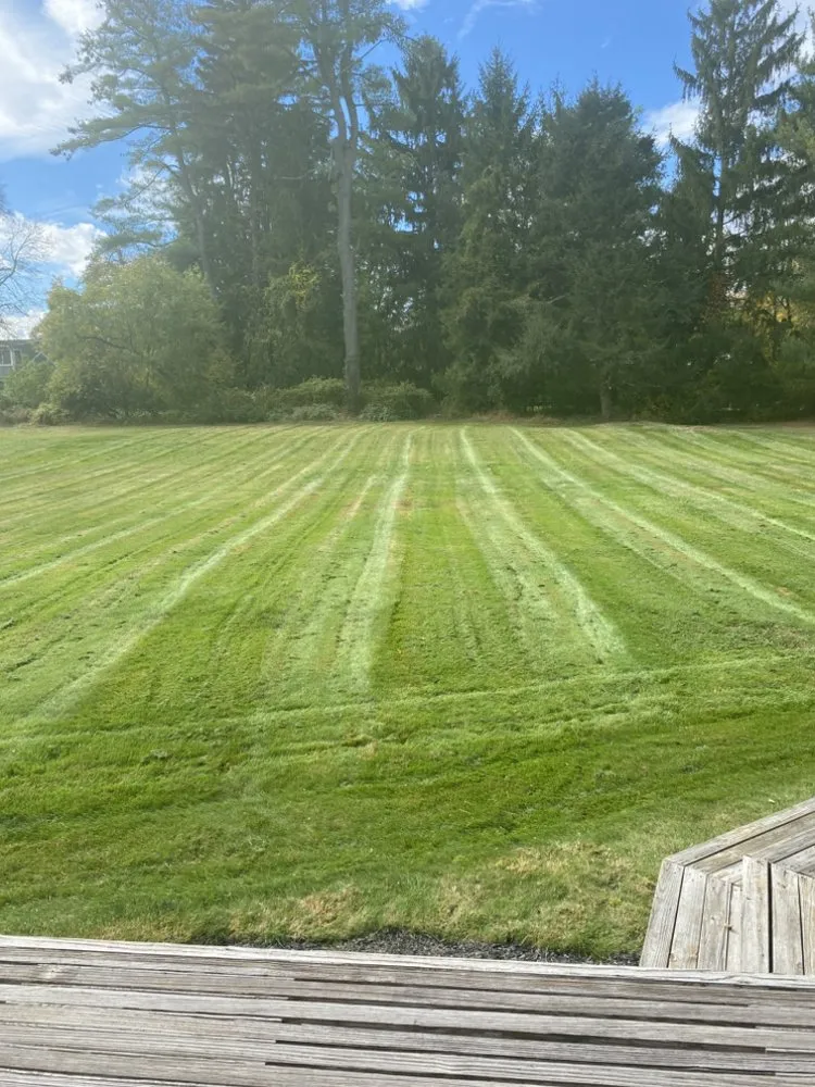 Affordable landscape design for residential properties across Lake Mohegan, NY - Rivas Landscaping services