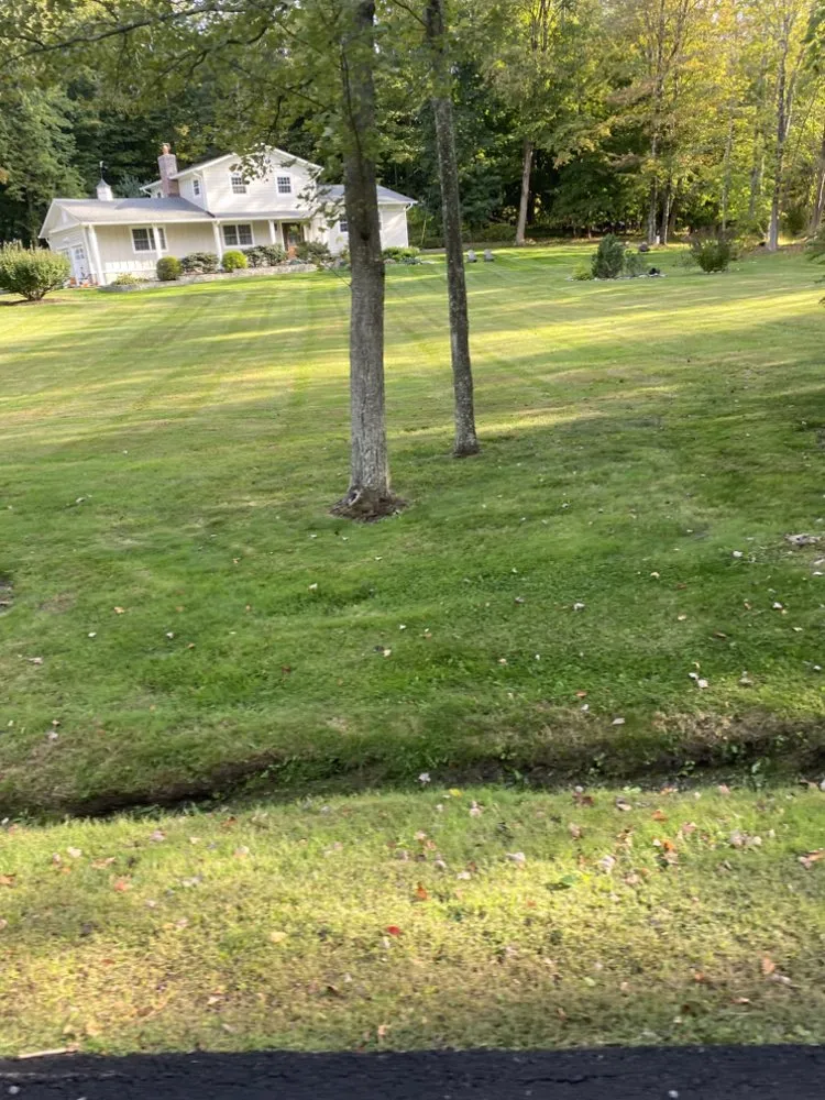 Top-rated lawn mowing service in Lake Mohegan, NY by Rivas Landscaping services