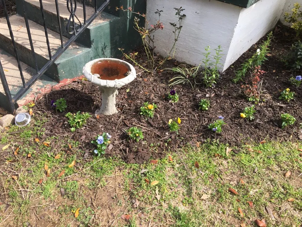 Reliable yard cleanup service in Tyler, TX by Rivas Landscaping