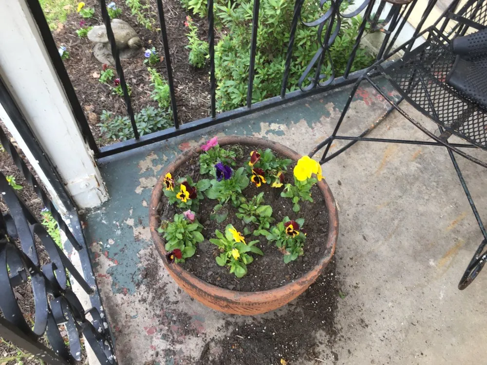 Reliable residential landscaping in Tyler, TX - Rivas Landscaping