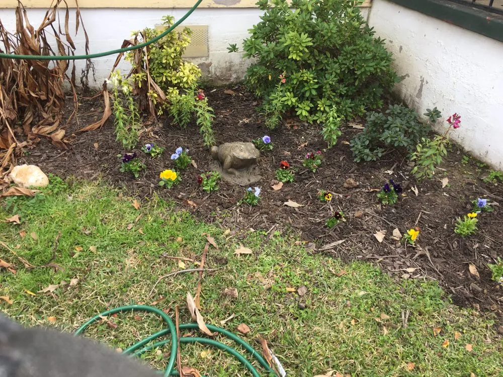 Expert landscape installation experts serving Tyler, TX - Rivas Landscaping