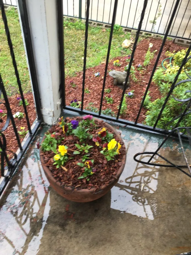 Reliable yard maintenance in Tyler, TX by Rivas Landscaping