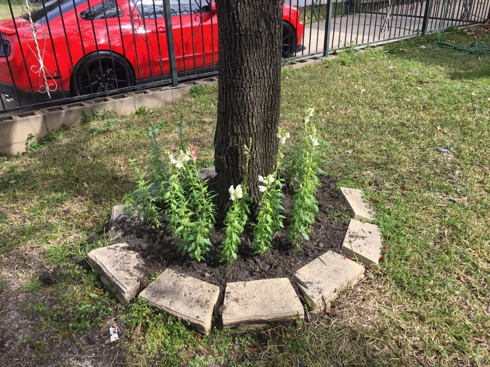 Top-rated landscape installation in Tyler, TX - Rivas Landscaping