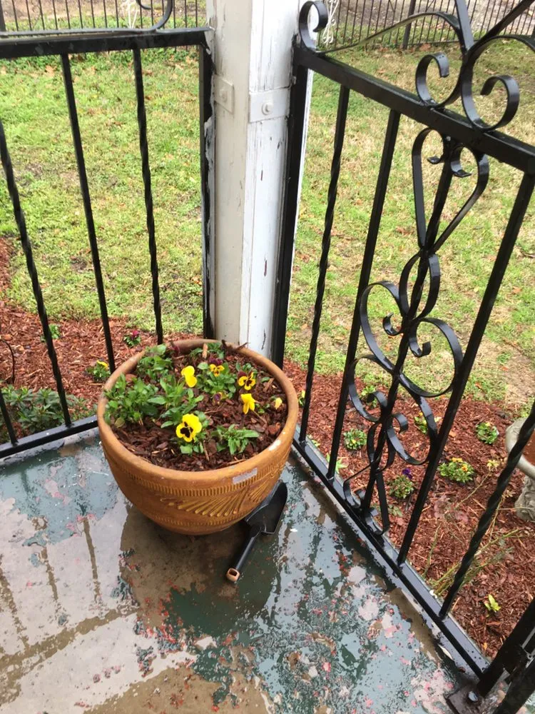 Affordable lawn care service in Tyler, TX by Rivas Landscaping