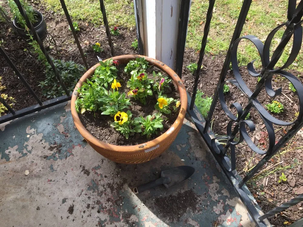 Professional landscaping services in Tyler, TX by Rivas Landscaping