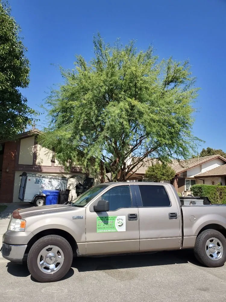 Expert residential landscaping in La Puente, CA by Rivas Tree Service