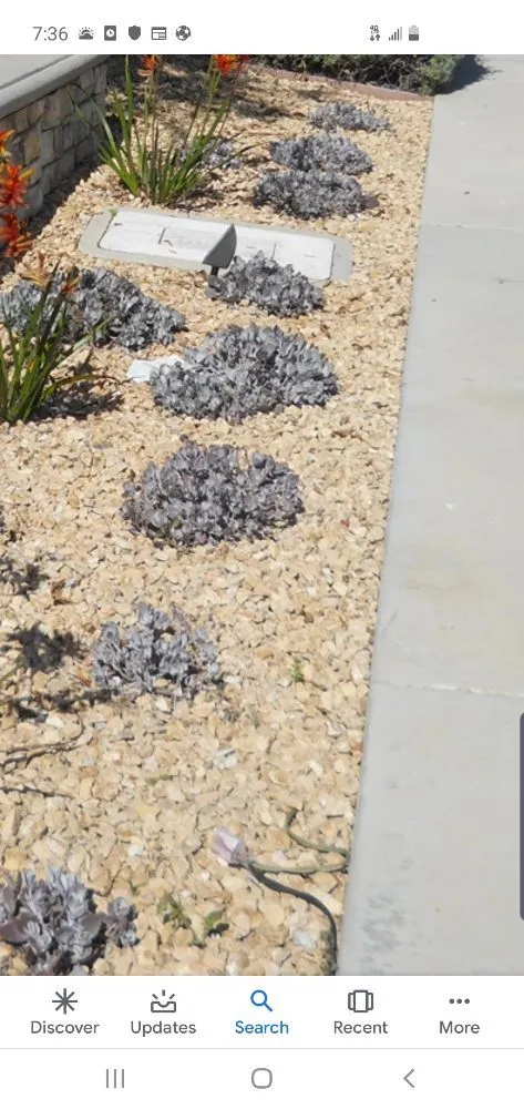 Expert lawn mowing service experts serving La Puente, CA - Rivas Tree Service