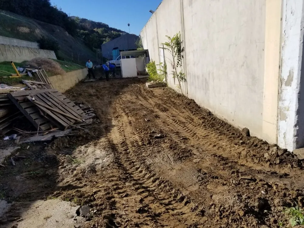 Reliable landscaping services for year-round maintenance in La Puente, CA by Rivas Tree Service