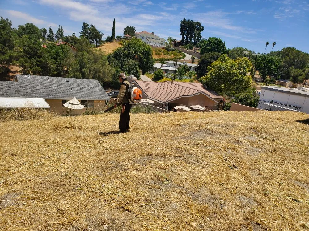 Reliable garden landscaping in La Puente, CA by Rivas Tree Service