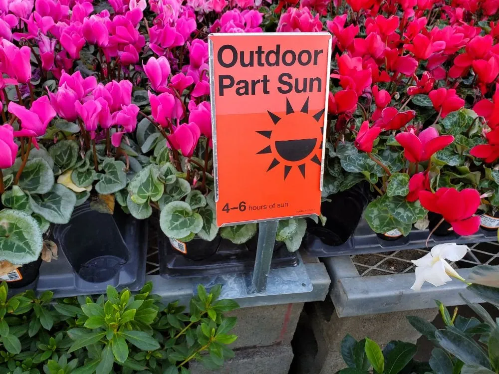 Local garden landscaping in La Puente, CA by Rivas Tree Service