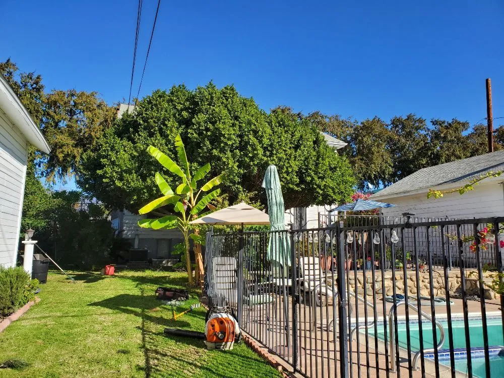 Affordable lawn care service in La Puente, CA - Rivas Tree Service