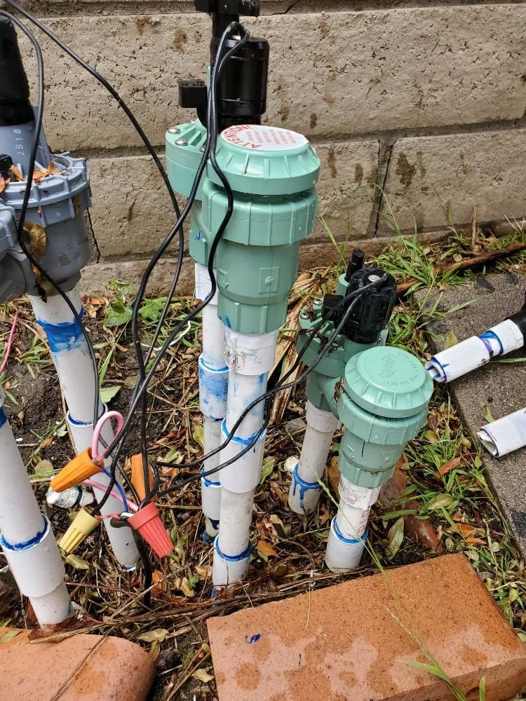 Reliable yard maintenance with custom design in La Puente, CA by Rivas Tree Service