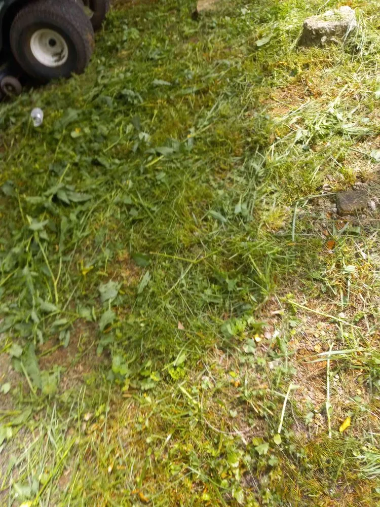 Affordable landscape installation experts serving Kingston, TN - Rivenbark Lawncare