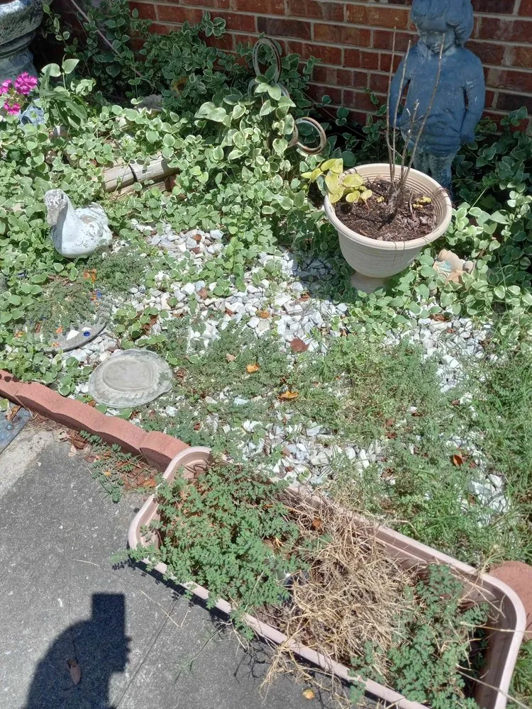 Affordable outdoor landscaping near you across Kingston, TN - Rivenbark Lawncare