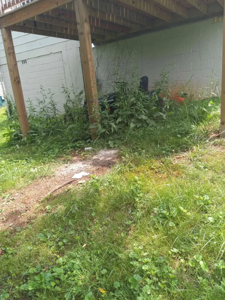 Custom residential landscaping for outdoor upgrades in Kingston, TN by Rivenbark Lawncare