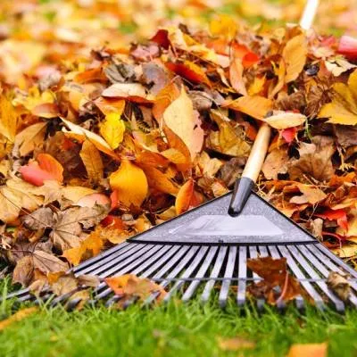 Reliable landscaping services experts serving Kingston, TN - Rivenbark Lawncare