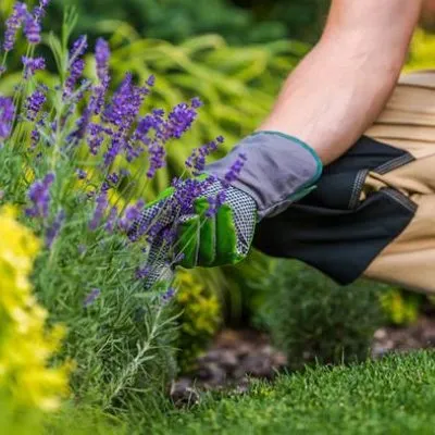 Top-rated landscaping services experts serving Kingston, TN - Rivenbark Lawncare