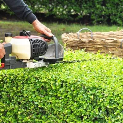 Local lawn care service experts serving Kingston, TN - Rivenbark Lawncare