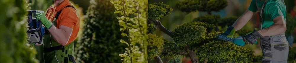 Custom lawn care service for beautiful yards in Kingston, TN by Rivenbark Lawncare