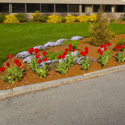 Reliable landscape installation for year-round maintenance in Kingston, TN by Rivenbark Lawncare