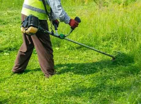 Professional yard cleanup service near you across Kingston, TN - Rivenbark Lawncare