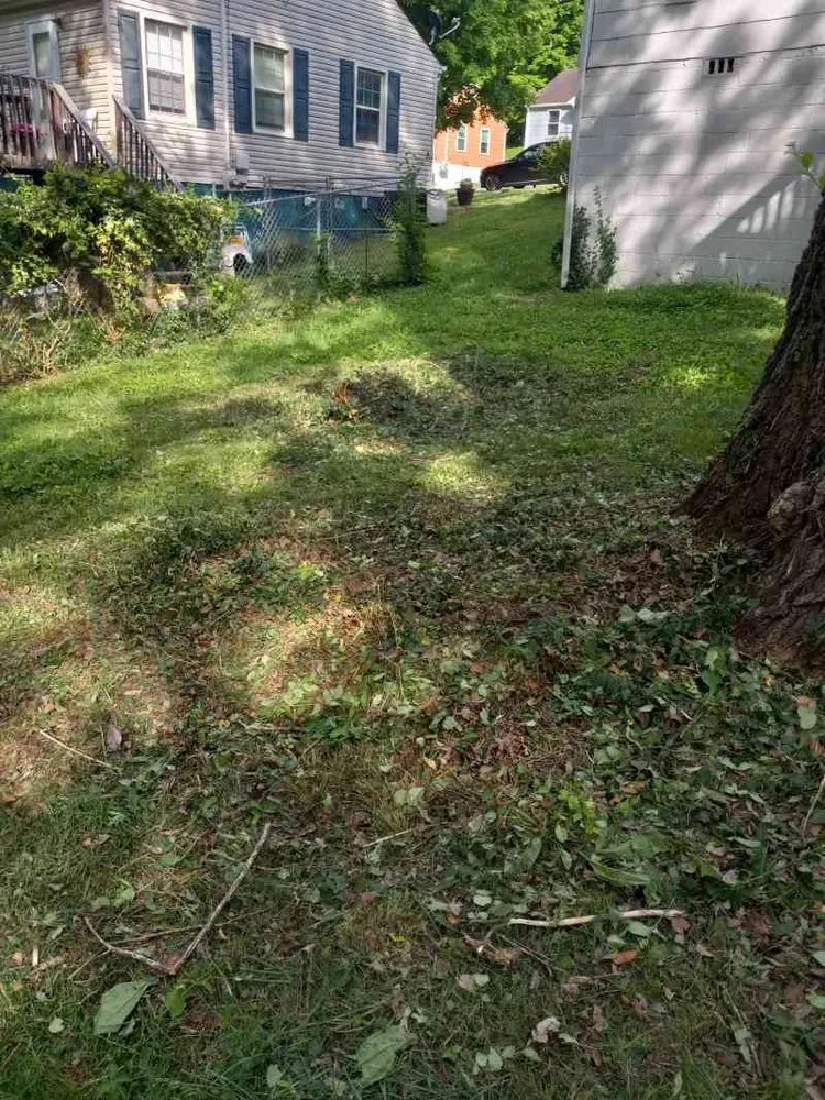 Professional yard cleanup service for residential properties in Kingston, TN by Rivenbark Lawncare