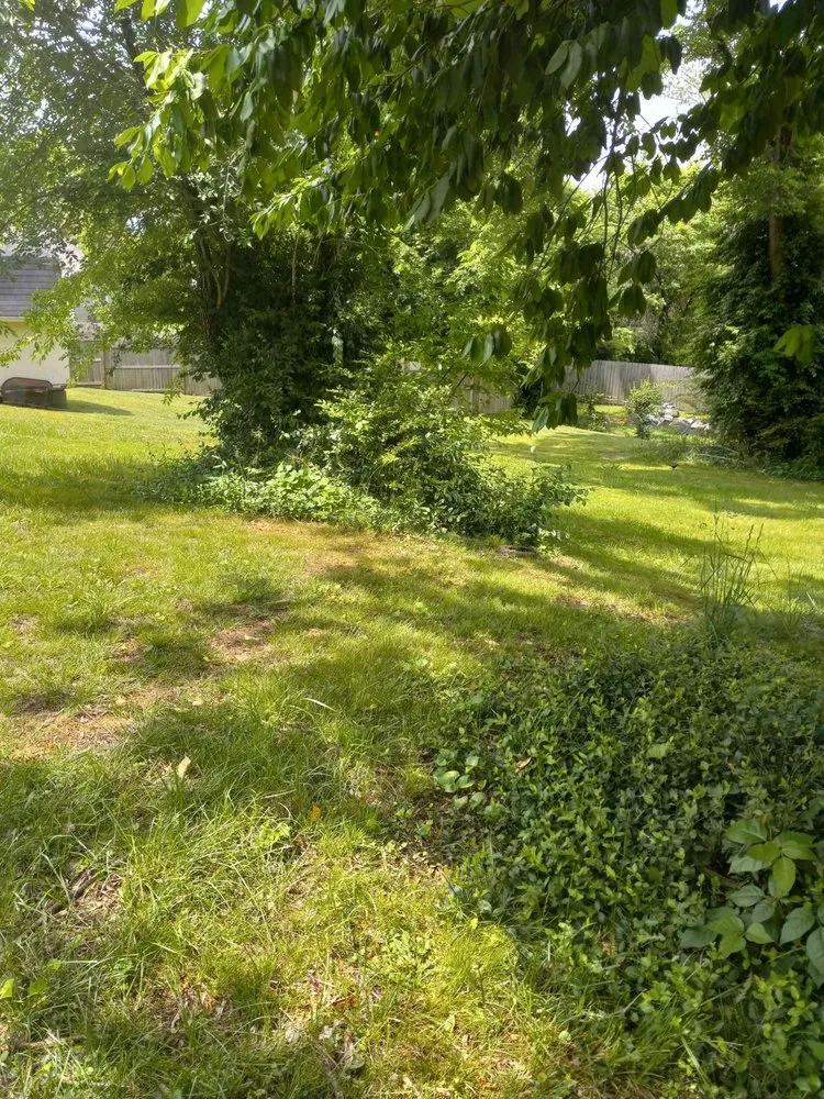 Top-rated residential landscaping for residential properties across Kingston, TN - Rivenbark Lawncare