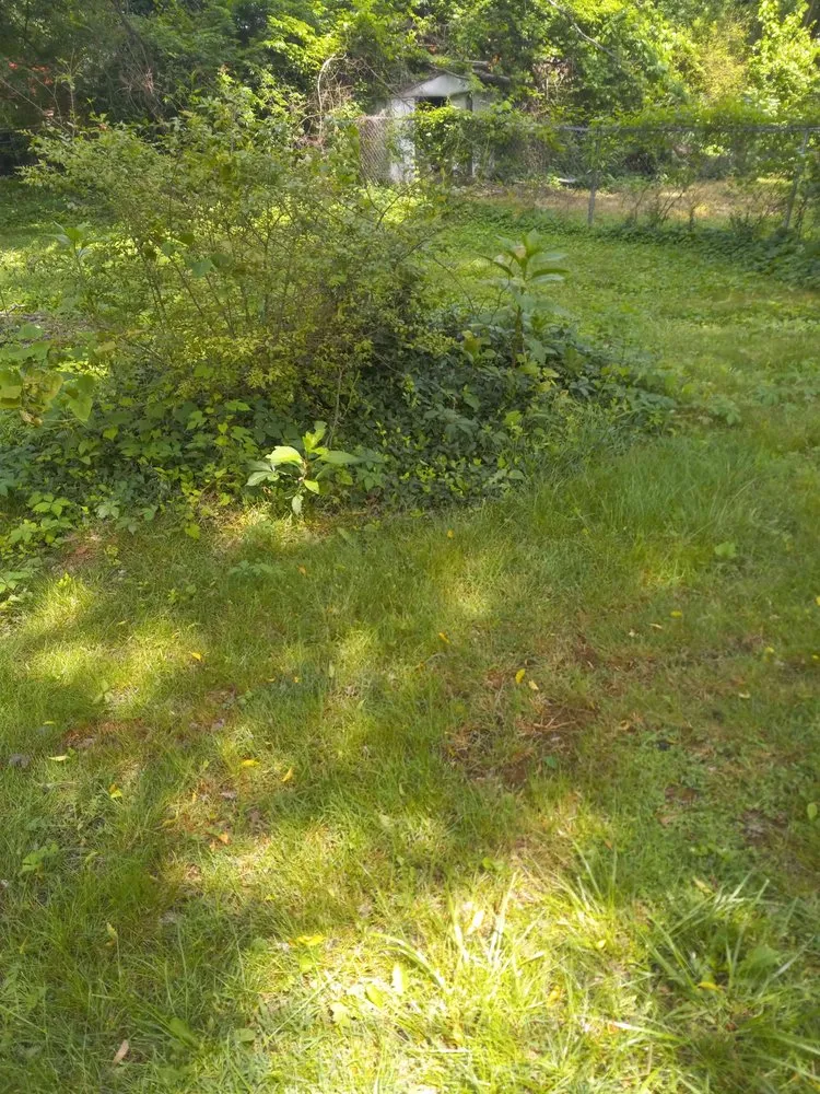 Affordable lawn mowing service for year-round maintenance in Kingston, TN by Rivenbark Lawncare