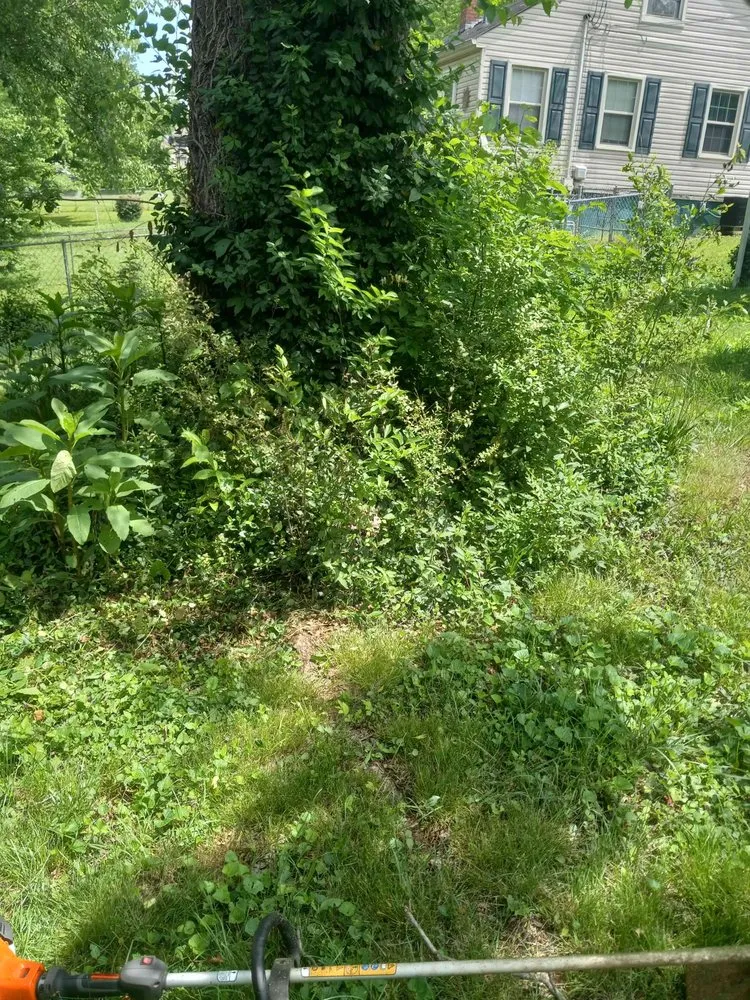 Top-rated lawn mowing service for year-round maintenance in Kingston, TN by Rivenbark Lawncare