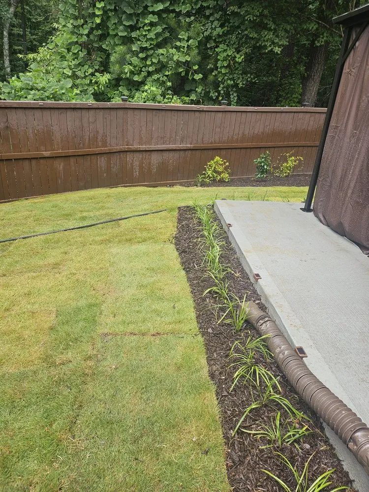 Trusted yard cleanup service in Alpharetta, GA by Rivendell Estate Care